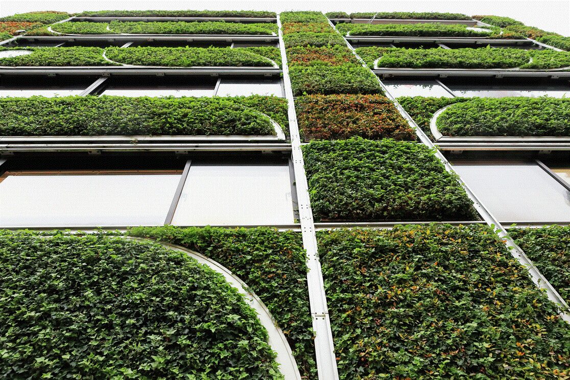Green Roof
